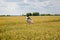 Beautiful girl on a vintage bicycle. Beautiful girl rides a bicycle in the field. Bike in the rice fields. young woman portrait