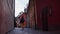 Beautiful girl walks alone in narrow colorful street of old Prague in evening, back view