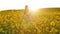 Beautiful girl walks on field of flowers at sunset