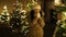 Beautiful girl warming up by illuminated Christmas tree in SLOW MOTION HD VIDEO.