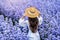 Beautiful girl in white dress walking in Margaret flowers fields, Chiang mai in Thailand