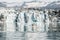 Beautiful Glacier Lagoon Background and cute seal on Iceland