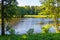 A beautiful glade with green grass in the shade of trees on the shore of a picturesque pond. A great place to relax or
