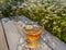 Beautiful glass teacup with chamomile tea on a wooden table among blooming daisies in the rays of the setting sun in Greece