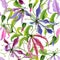 Beautiful gloriosa lily flowers with climbing leaves on white background. Seamless floral pattern. Watercolor painting.