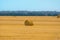 Beautiful golden field with hay sheaves and dark stormy sky