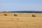 Beautiful golden field with hay sheaves and dark stormy sky