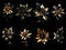 Beautiful golden flowers set with black leaves isolated on a dark black background. Creative mystery concept. Elegant