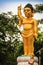 Beautiful golden little Buddha statue that standing on the lotus flower and finger point to the above sky.