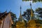 Beautiful golden pagodas at Wat Phra That Doi Tung, Chiang Rai. Wat Phra That Doi Tung comprises of a twin Lanna-style stupas, one