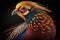 Beautiful Golden Pheasant Close Up. Colorful and Vibrant Animal.