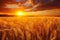 Beautiful golden sunrise casting a warm and radiant glow on the expansive wheat field