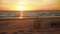 Beautiful golden sunset through the grass at the beach. Sun setting into the sea on tranquil evening. Nobody