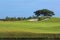 Beautiful golf course green natural turf scenery