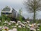 Beautiful goods train with ecologically sustainable transport flowers