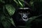 Beautiful gorilla peeking through leaves in the rainforest. Generative AI