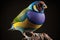 Beautiful Gouldian Finch Close Up. Colorful and Vibrant Animal.