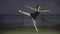 Beautiful graceful dancer performs elements of ballet