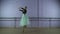 Beautiful graceful dancer performs elements of ballet