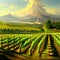 Beautiful grape plantation hills, trees, clouds against backdrop of mountains