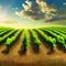 Beautiful grape plantation hills, trees, clouds against backdrop of mountains