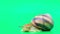 A beautiful grape snail Helix pomatia crawls on a green background and moves its antennae.