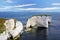 The beautiful grass covered white chalk cliffs of Old Harry Rocks in Dorset