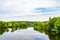 Beautiful grass swamp reed growing on shore reservoir in countryside