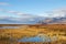 Beautiful grassy landscape in Iceland