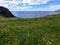A beautiful grassy meadow full of colourful flowers with the vast atlantic ocean in the background in Twilingate, Newfoundland