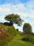 Beautiful grassy pathway at the top of a hill with heather