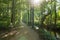 Beautiful gravel forest path during the spring season on a sunny day