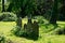 Beautiful graveyard filled with the tombstones of the resting souls of the dead on a peaceful and calm summers day