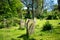 Beautiful graveyard filled with the tombstones view from the back of the resting souls of the dead on a peaceful and calm