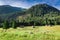 Beautiful grazing herd of sheep at sunrise, Tatra Mountains