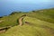 Beautiful grazing pastures lie on the hills of Sao Jorge, island of the Azores