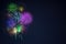 Beautiful gree purple blue red fireworks copy space