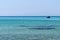 A beautiful Greek beach on the Aegean Sea in Halkidiki. Black sea urchin in the sea