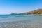 A beautiful Greek beach on the Aegean Sea in Halkidiki. Black sea urchin in the sea