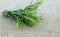 Beautiful Greek wild rosemary on natural wooden background. Copy space for text.