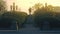 Beautiful green alley and bushes in the city street. Stock footage. Rear view of a monument surrounded by summer