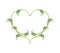 Beautiful Green Anthurium Flowers in Heart Shape