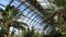 Beautiful green arboretum in the park with big glass windows and different plants. Stock footage. Greenhouse with