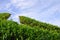 Beautiful green areas against a blue sky