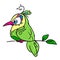 Beautiful green bird patterns animal illustration cartoon character isolated