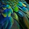 beautiful green and blue parrot feathers close-up background.
