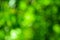 Beautiful green bokeh. Bright natural background.