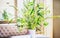 Beautiful green bunch with various plants leaves in vase at room background. Home interior