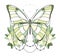 Beautiful green butterfly icon. Vector illustration is isolated on a white background. Insects art. Decorative element