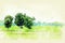Beautiful green color on Rice fields and tree watercolor illustration painting